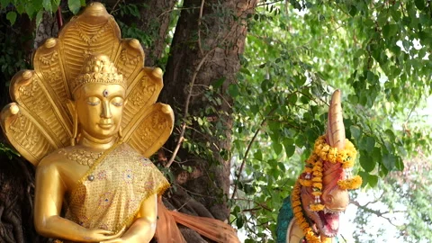 Thaiart Stock Footage 288554848