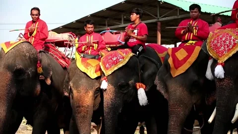 Thailand allocates 22 million dollars to reduce elephant attacks on people, THAI Video stock 304036108