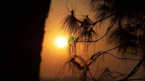 Thailand Beautiful Sunset Video stock 86474161