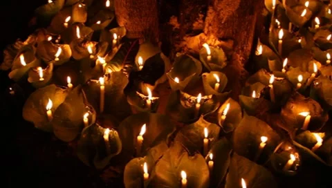Thailand Ceremony Stock Footage 8641001