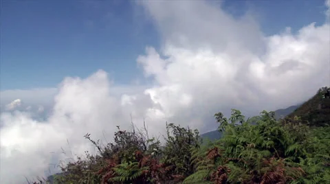 Thailand Cloud Forest Temple Pan 007 Stock Footage 37037740
