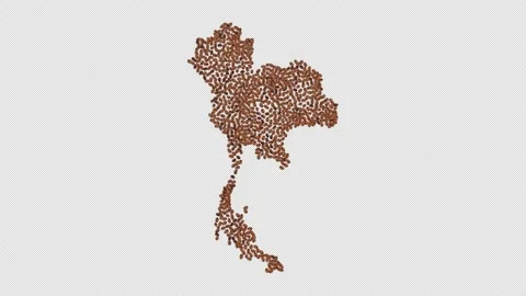Thailand Coffee Beans Video stock 152732594