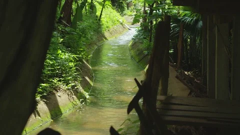 Thailand countryside irrigation ditch 2 스톡 동영상 79498341