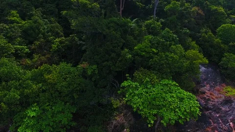 Thailand drone flight Stock Footage 85976882