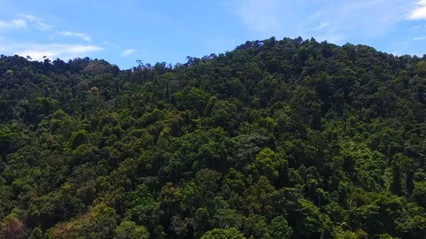 Thailand drone flight Stock Footage 85977783