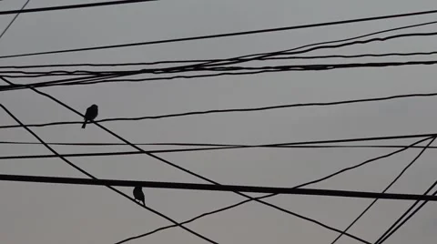 Thailand electricity Stock Footage 46718078