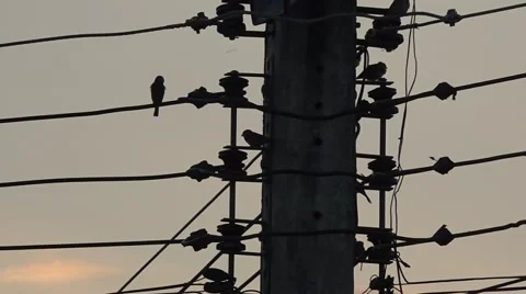 Thailand electricity Stock-Footage 47926258