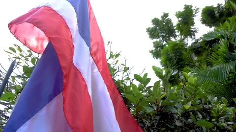 Thailand flag hanging down in park Stock Footage 81944218