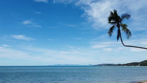 Thailand Koh Samui L-shape palm tree near beach Stock-Footage 107474884