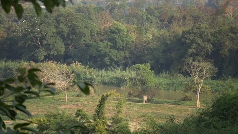 Thailand Landscape Video stock 86472537