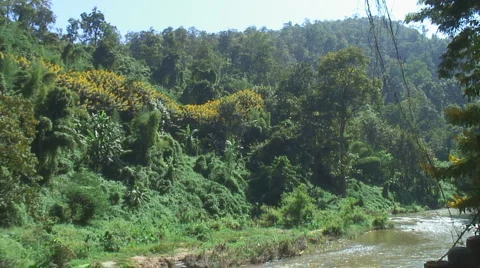 Thailand: Mountain stream Stock Footage 1105693