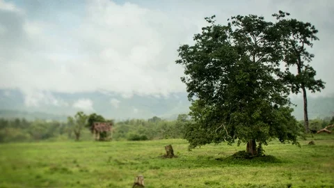 Thailand the mountains timelapse Vídeo Stock 71051248