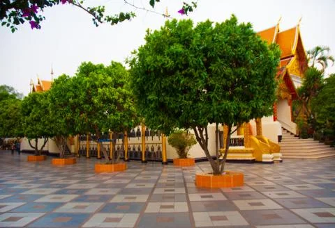 Thailand Stock Photos