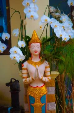 Thailand Stock Photos