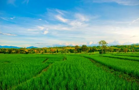 Thailand Stock Photos