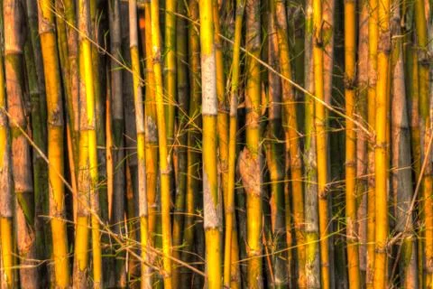 Thailand Stock Photos