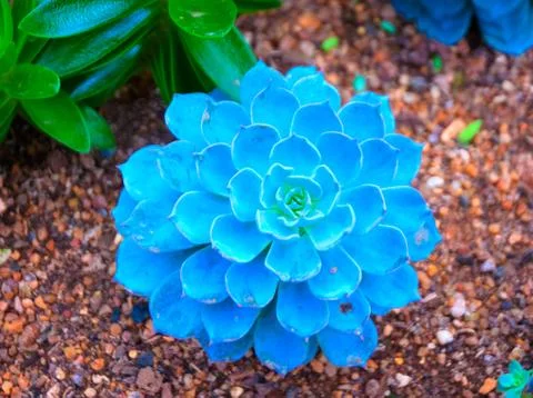 Thailand Stock Photos