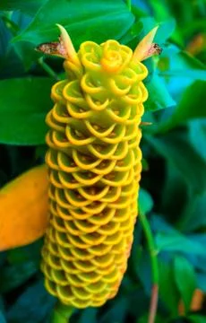 Thailand Stock Photos