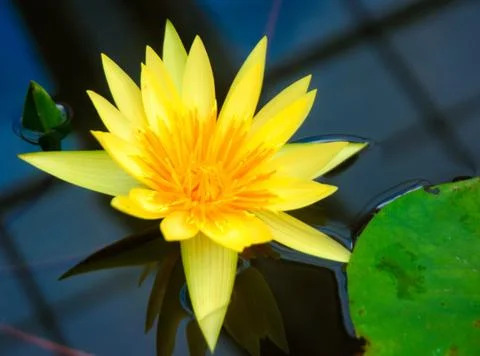 Thailand Stock Photos