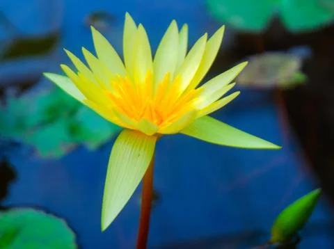 Thailand Stock Photos