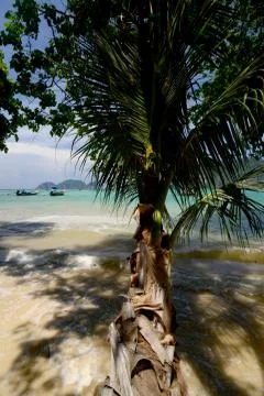 THAILAND Stock Photos