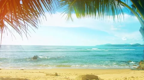 Thailand, phuket island. sunny beach with palm trees without people Stock Footage