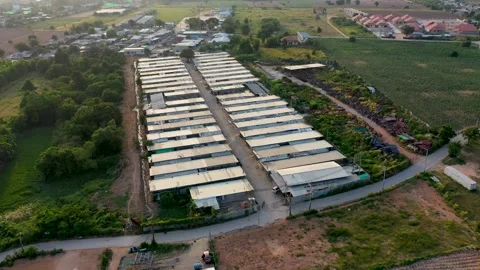 Thailand poverty Stock Footage 301348403