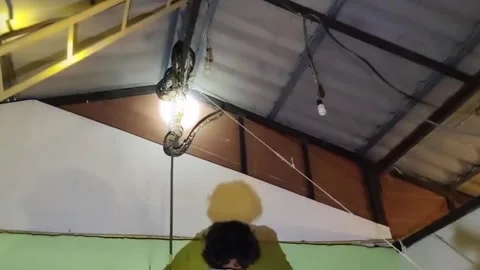 Thailand: Python found dangling from family's ceiling Video stock 320634642