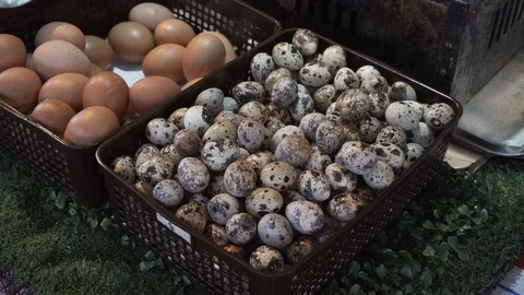 Thailand quail egg dishes Stock Footage 106969454