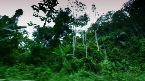 Thailand roads 16 Stock Footage 10803835