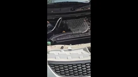 Thailand: Snake handler removes angry monocled cobra from car engine Stock Footage 323062349