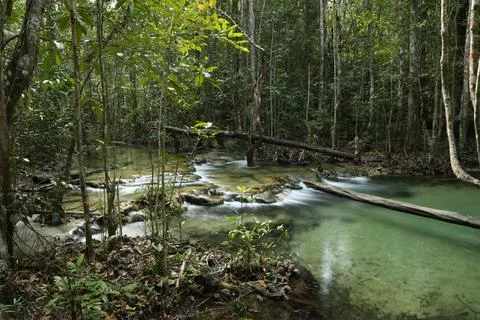 Thailand stream 2 Stock Photos