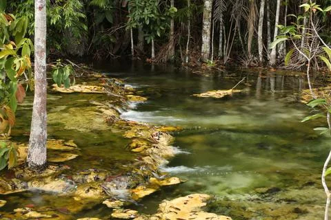 Thailand stream 3 Stock Photos