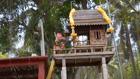 Thailand Treehouse Stock Footage 114514788