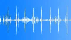 Thailand tropical birds. Jungle ambienceSound Effect