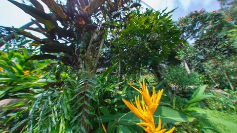 Thailand tropical resort timelapse in 2.7k Stock Footage 72774853