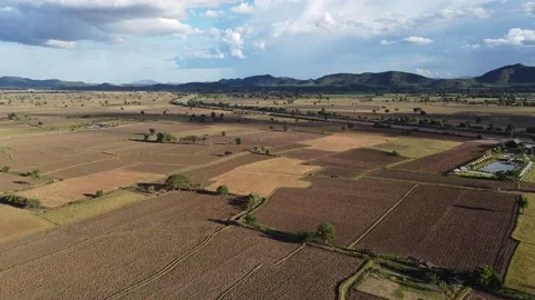 Thailand's rice fields with rain storm on the horizon Stock Footage 168650935