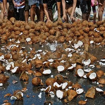 Thaipusam - throwing coconuts. Stock Photos