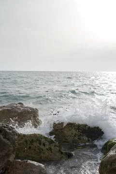 Thalassa Stock Photos