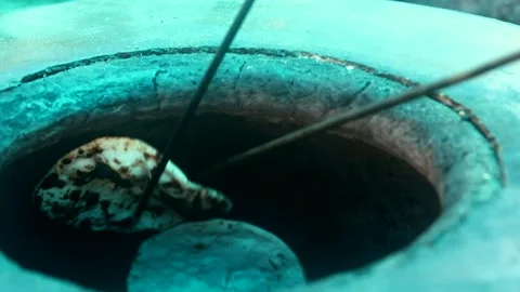 Thali Stock Footage 133102412