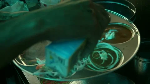 Thali Stock Footage 133102429