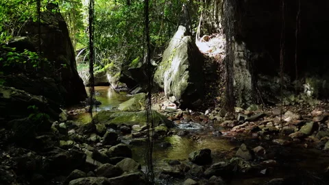 Tham Tarn Lod Noi Cave, a nature trail at Chalerm Rattanakosin National Park. Stock Footage 282424636