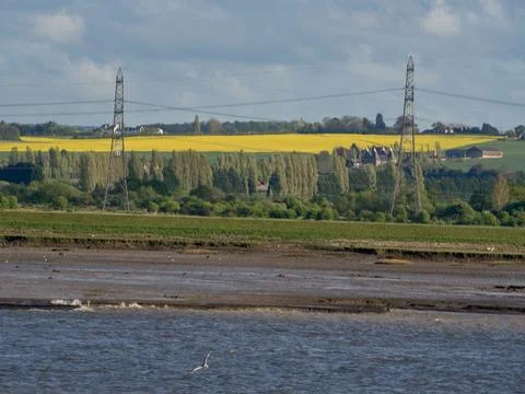At the thames river in england Foto stock