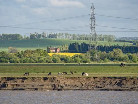 At the thames river in england Stock Photos