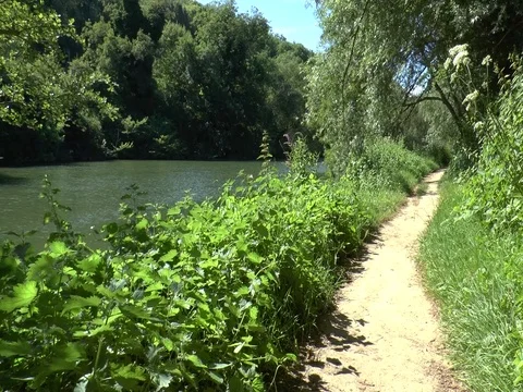 Thames River, Goring, UK, The River Flows Slowly past the Thames Path Video stock 76269499