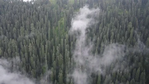 Thandyani Tour Stock Footage 237446107