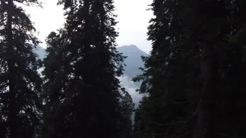 Thandyani Tour Vidéo 237446249