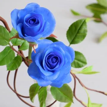 Thank you background Stock Photos