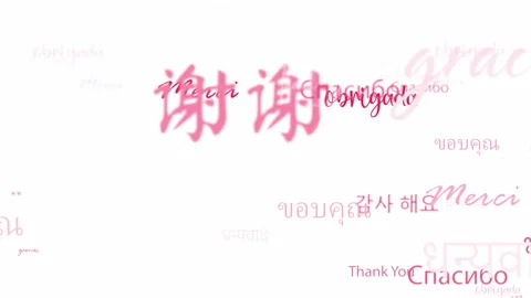 Thank you in different of Languages word  flowing. Stock Footage 171950255