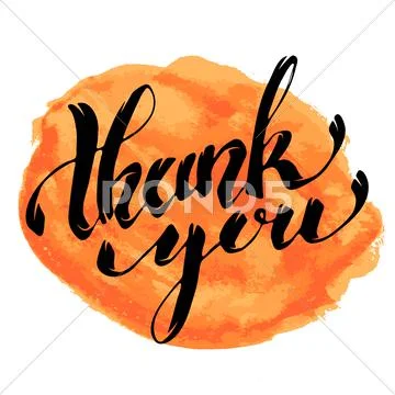 Thank You. Hand Drawn Lettering With Watercolor Stain Isolated On White Backg